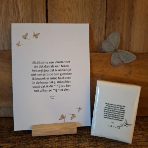 troostpakketje vlinder